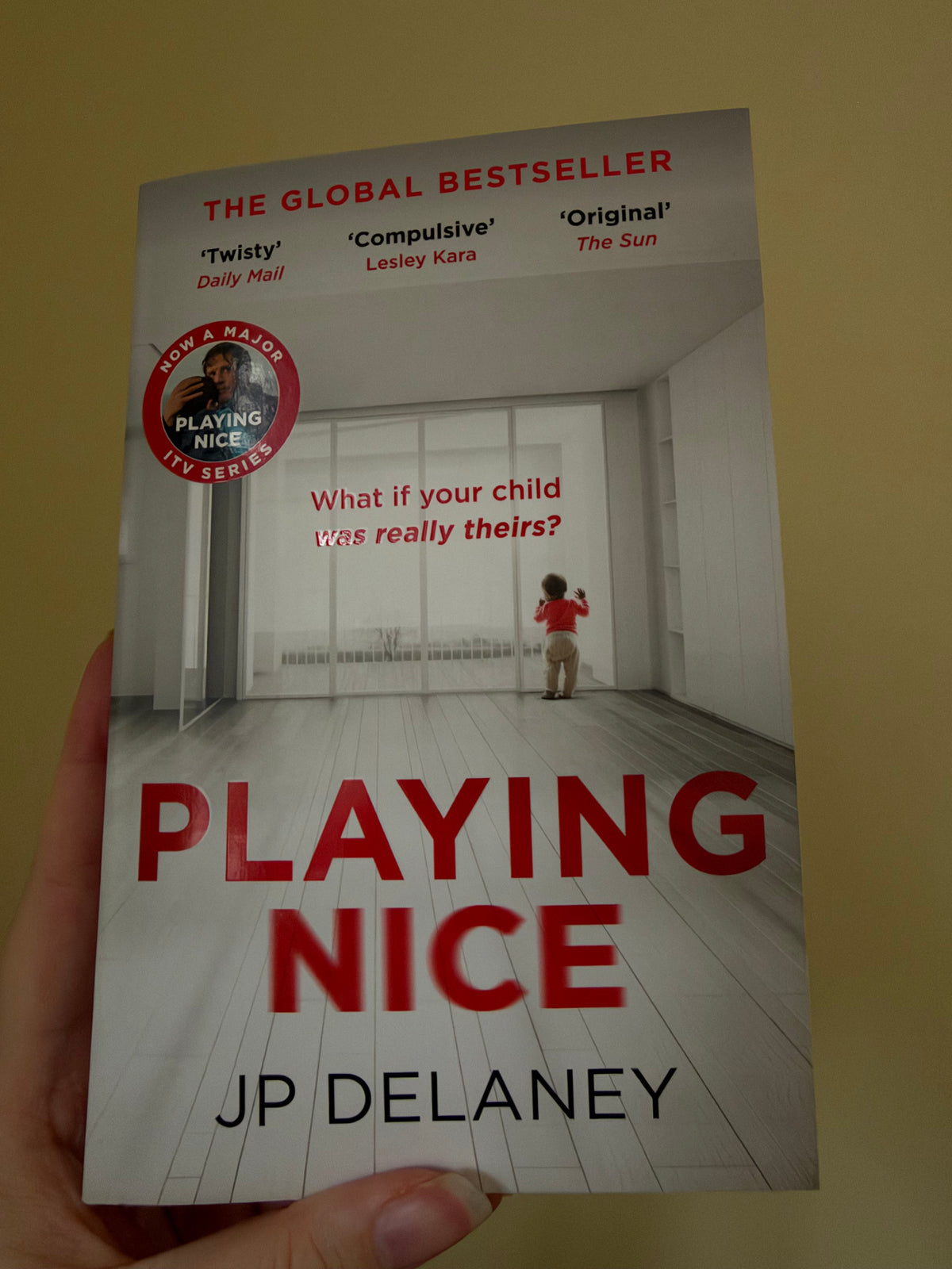 JP Delaney - Playing Nice