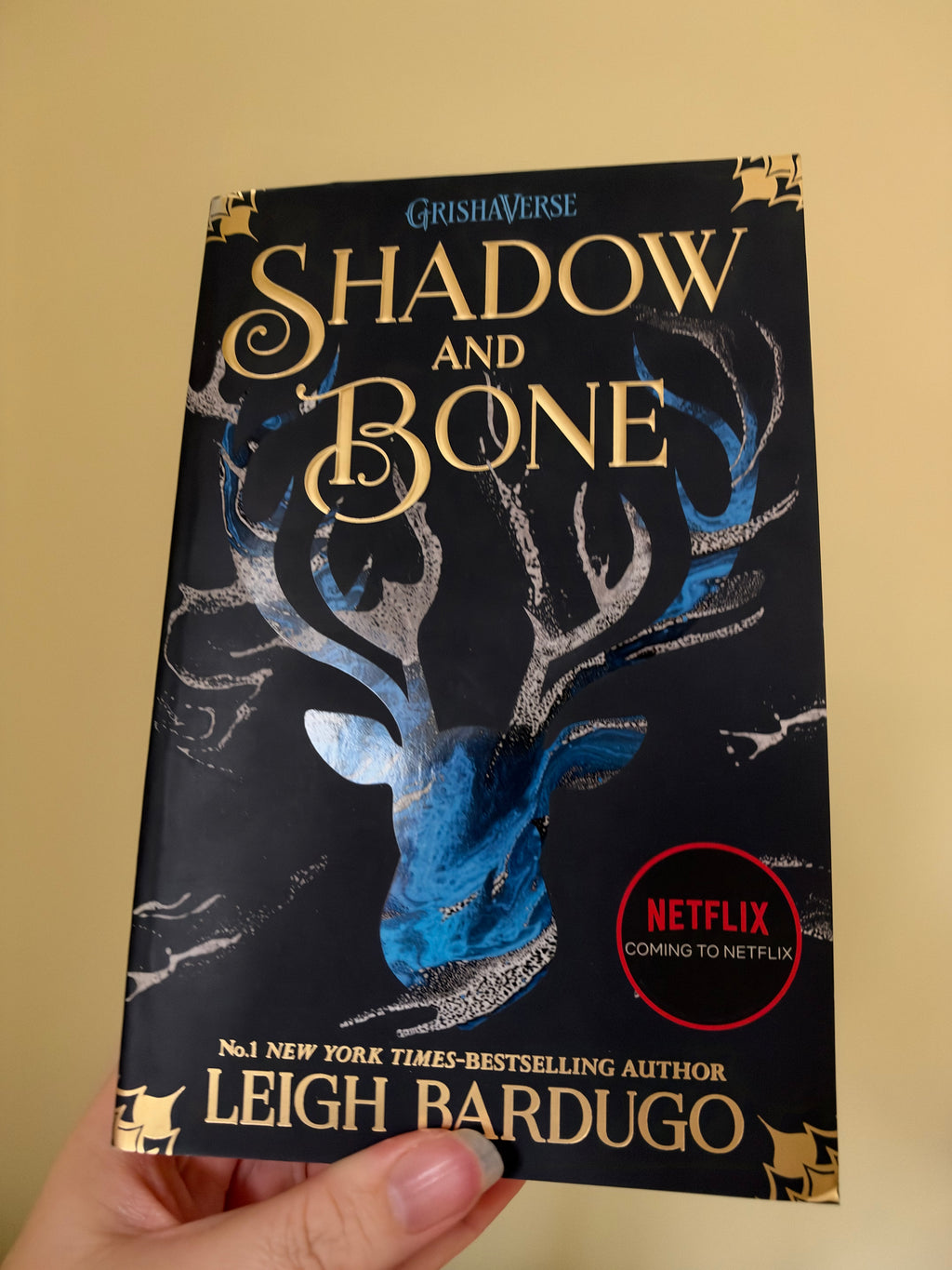 Leigh Bardugo - Shadow and Bone