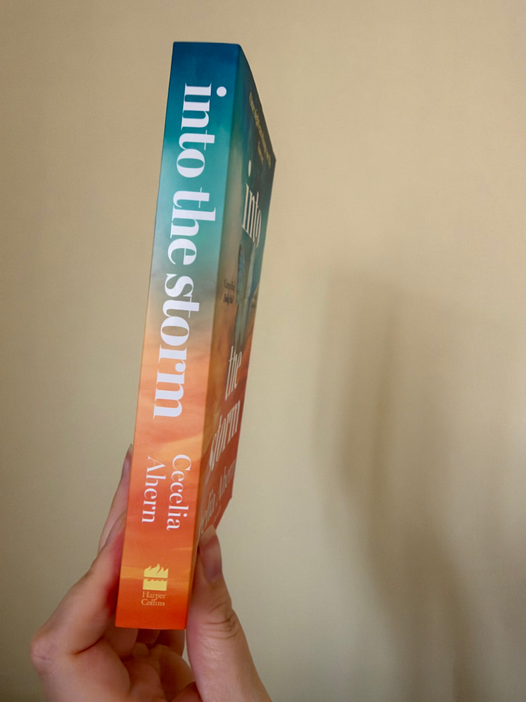 Cecelia Ahern - Into the Storm