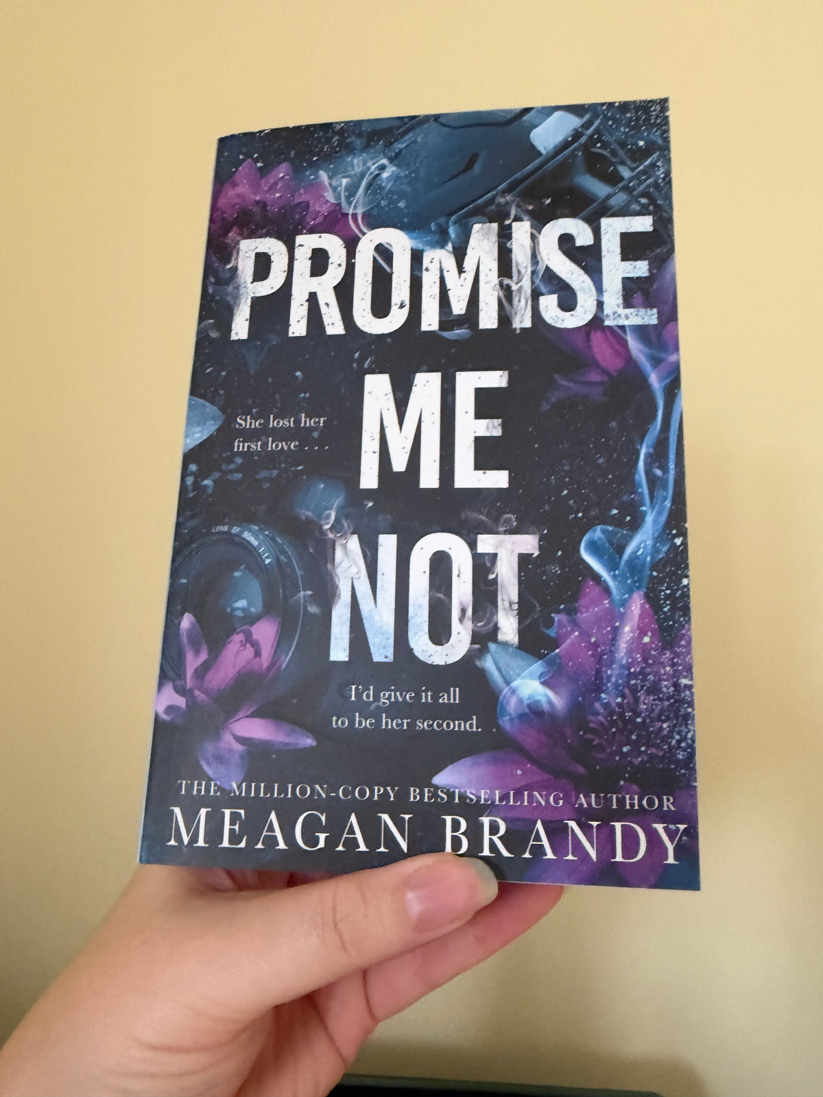 Meagan Brandy - Promise Me Not