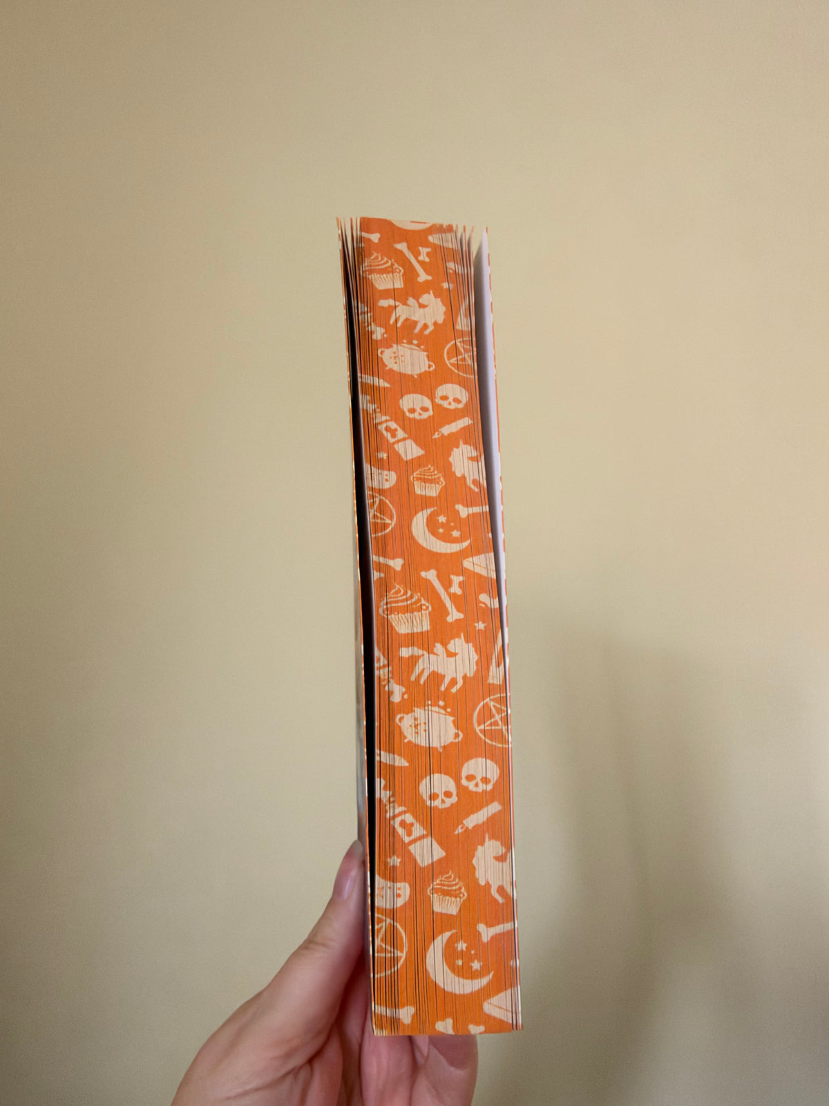 Caitlin Rozakis - The Grimoire Grammar School