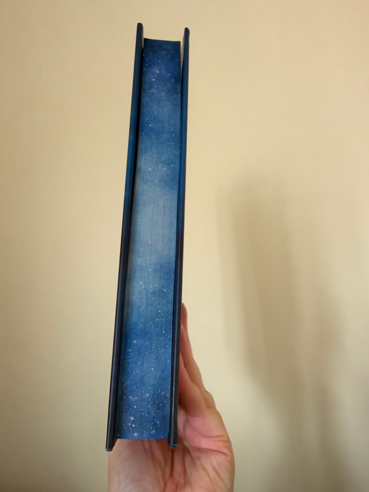 Alice Feeney - My Husbands Wife (Hardback)
